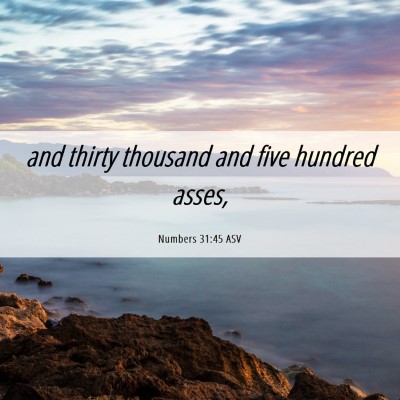Picture 06 - Numbers 31:45 ASV - and thirty thousand and five hundred - Bible Verse Picture
