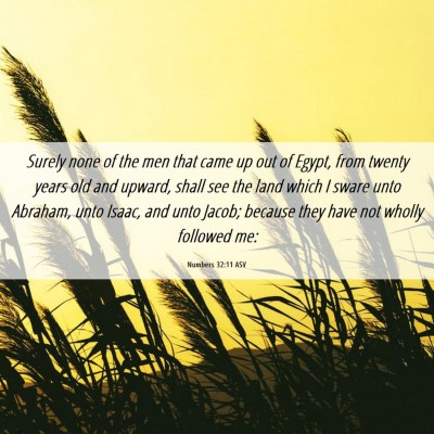 Picture 06 - Numbers 32:11 ASV - Surely none of the men that came up out of Egypt, - Bible Verse Picture