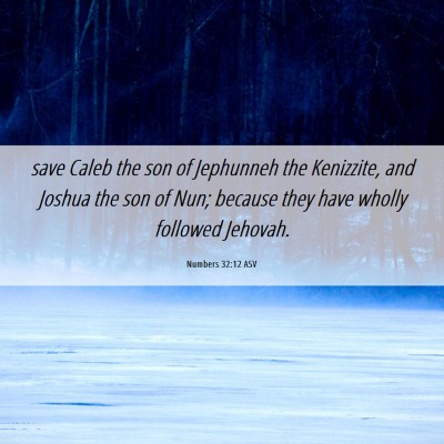 Picture 06 - Numbers 32:12 ASV - save Caleb the son of Jephunneh the Kenizzite, - Bible Verse Picture