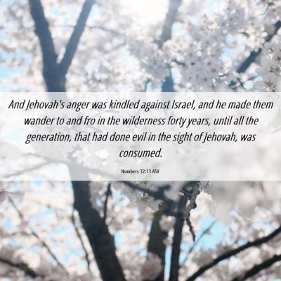 Picture 06 - Numbers 32:13 ASV - And Jehovah's anger was kindled against Israel, - Bible Verse Picture