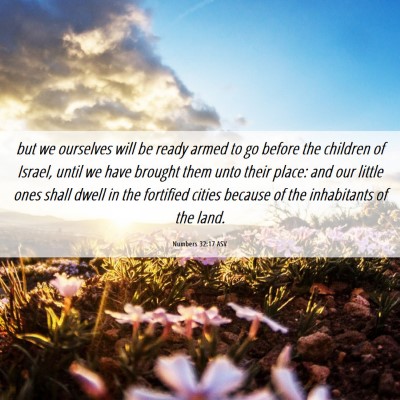 Picture 06 - Numbers 32:17 ASV - but we ourselves will be ready armed to go before - Bible Verse Picture