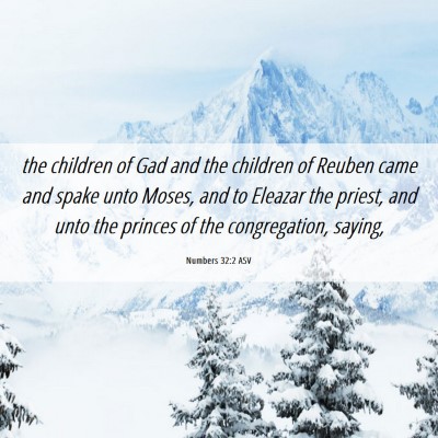 Picture 06 - Numbers 32:2 ASV - the children of Gad and the children of Reuben - Bible Verse Picture