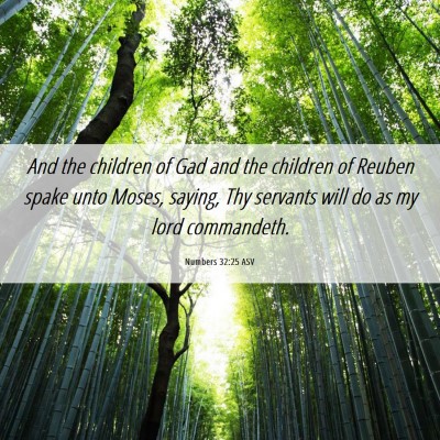 Picture 06 - Numbers 32:25 ASV - And the children of Gad and the children of - Bible Verse Picture