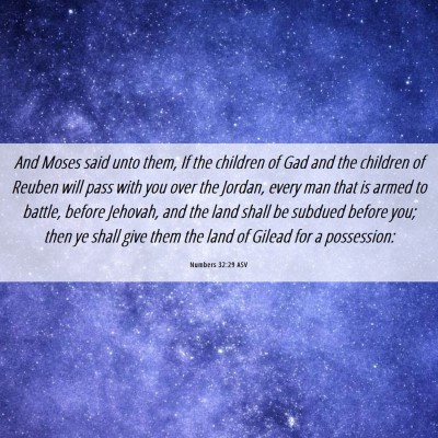 Picture 06 - Numbers 32:29 ASV - And Moses said unto them, If the children of Gad - Bible Verse Picture