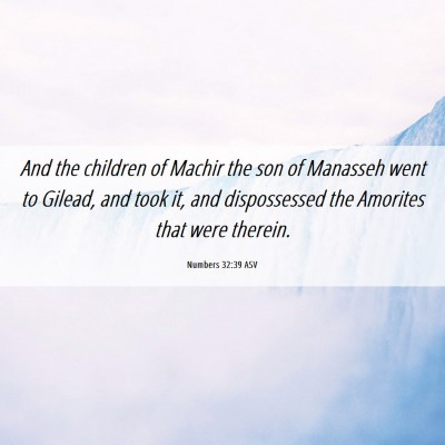 Picture 06 - Numbers 32:39 ASV - And the children of Machir the son of Manasseh - Bible Verse Picture