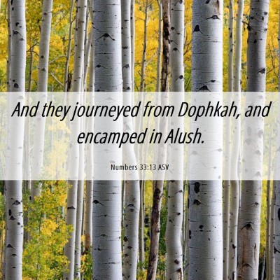 Picture 06 - Numbers 33:13 ASV - And they journeyed from Dophkah, and encamped in - Bible Verse Picture