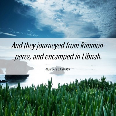 Picture 06 - Numbers 33:20 ASV - And they journeyed from Rimmon-perez, and - Bible Verse Picture