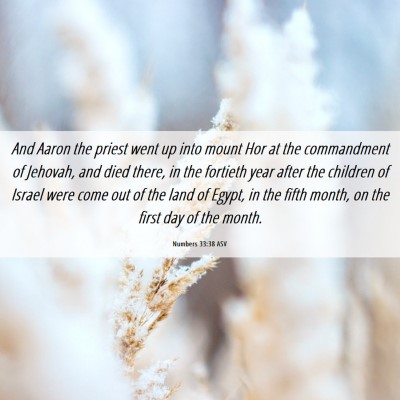 Picture 06 - Numbers 33:38 ASV - And Aaron the priest went up into mount Hor at - Bible Verse Picture