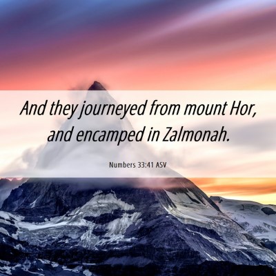 Picture 06 - Numbers 33:41 ASV - And they journeyed from mount Hor, and encamped - Bible Verse Picture