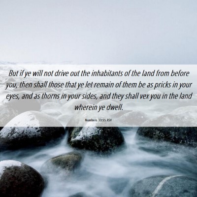 Picture 06 - Numbers 33:55 ASV - But if ye will not drive out the inhabitants of - Bible Verse Picture