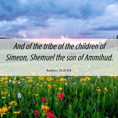 Picture 06 - Numbers 34:20 ASV - And of the tribe of the children of Simeon, - Bible Verse Picture