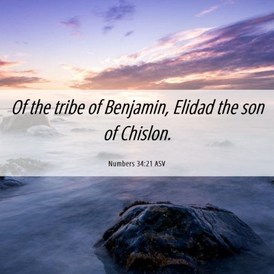 Picture 06 - Numbers 34:21 ASV - Of the tribe of Benjamin, Elidad the son of - Bible Verse Picture