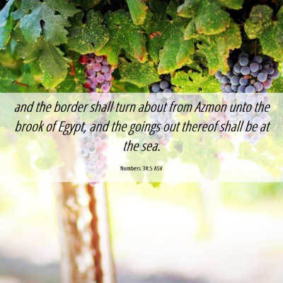 Picture 06 - Numbers 34:5 ASV - and the border shall turn about from Azmon unto - Bible Verse Picture