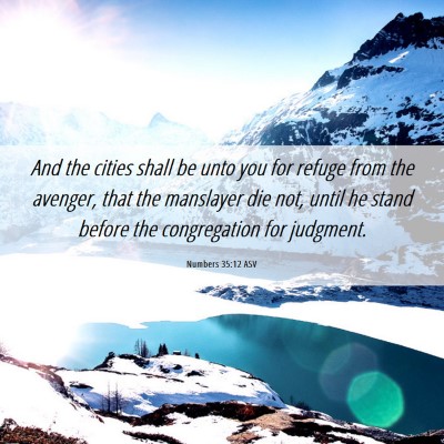 Picture 06 - Numbers 35:12 ASV - And the cities shall be unto you for refuge from - Bible Verse Picture