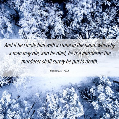 Picture 06 - Numbers 35:17 ASV - And if he smote him with a stone in the hand, - Bible Verse Picture