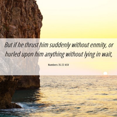 Picture 06 - Numbers 35:22 ASV - But if he thrust him suddenly without enmity, or - Bible Verse Picture