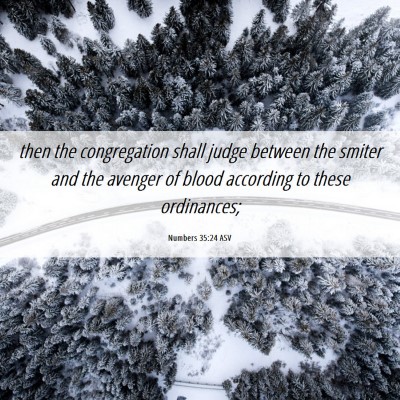 Picture 06 - Numbers 35:24 ASV - then the congregation shall judge between the - Bible Verse Picture