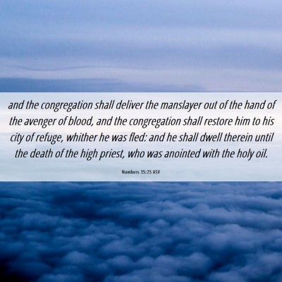 Picture 06 - Numbers 35:25 ASV - and the congregation shall deliver the manslayer - Bible Verse Picture