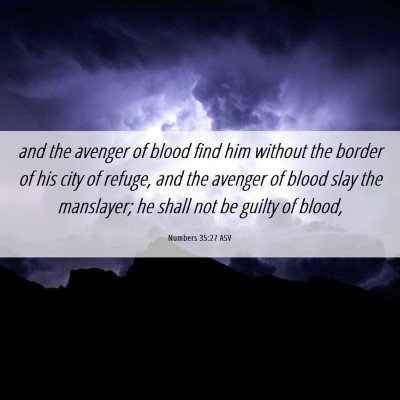 Picture 06 - Numbers 35:27 ASV - and the avenger of blood find him without the - Bible Verse Picture