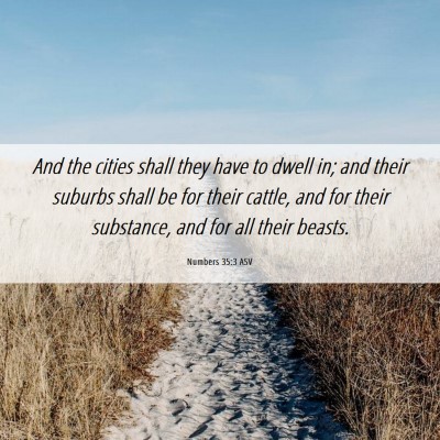 Picture 06 - Numbers 35:3 ASV - And the cities shall they have to dwell in; and - Bible Verse Picture