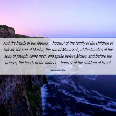 Picture 06 - Numbers 36:1 ASV - And the heads of the fathers' `houses' of the - Bible Verse Picture