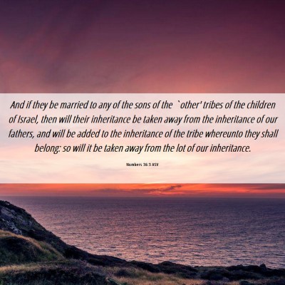 Picture 06 - Numbers 36:3 ASV - And if they be married to any of the sons of the - Bible Verse Picture