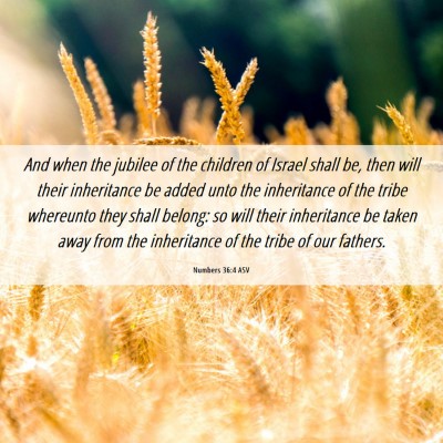 Picture 06 - Numbers 36:4 ASV - And when the jubilee of the children of Israel - Bible Verse Picture