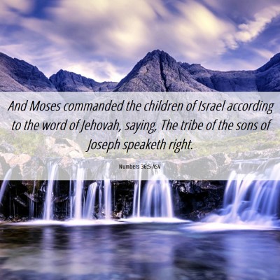 Picture 06 - Numbers 36:5 ASV - And Moses commanded the children of Israel - Bible Verse Picture