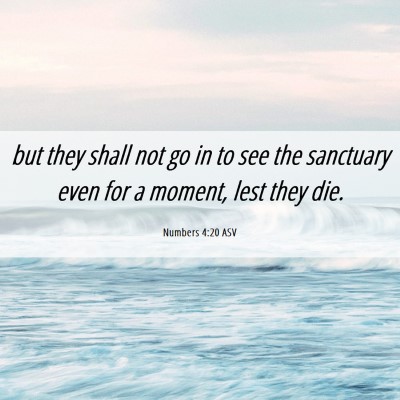 Picture 06 - Numbers 4:20 ASV - but they shall not go in to see the sanctuary - Bible Verse Picture