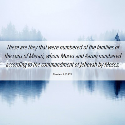 Picture 06 - Numbers 4:45 ASV - These are they that were numbered of the families - Bible Verse Picture