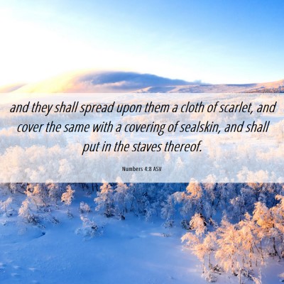 Picture 06 - Numbers 4:8 ASV - and they shall spread upon them a cloth of - Bible Verse Picture