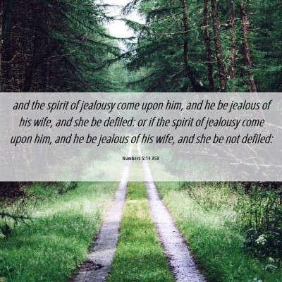 Picture 06 - Numbers 5:14 ASV - and the spirit of jealousy come upon him, and he - Bible Verse Picture
