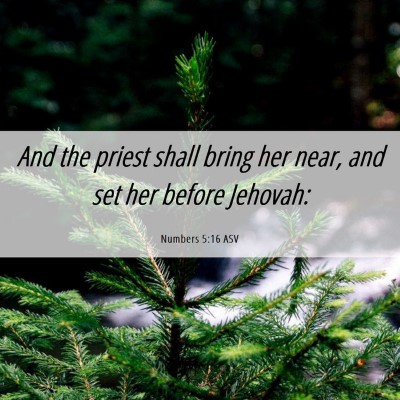 Picture 06 - Numbers 5:16 ASV - And the priest shall bring her near, and set her - Bible Verse Picture