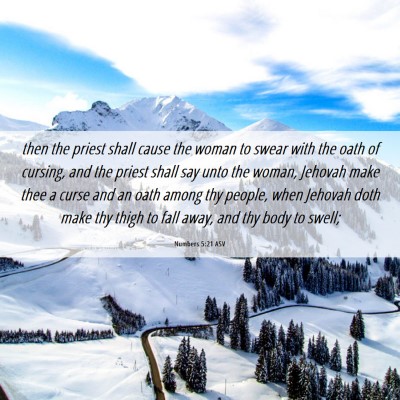 Picture 06 - Numbers 5:21 ASV - then the priest shall cause the woman to swear - Bible Verse Picture
