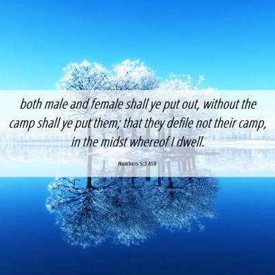 Picture 06 - Numbers 5:3 ASV - both male and female shall ye put out, without - Bible Verse Picture