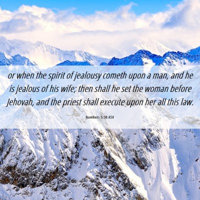 Picture 06 - Numbers 5:30 ASV - or when the spirit of jealousy cometh upon a man, - Bible Verse Picture