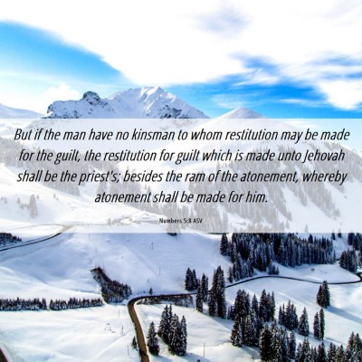 Picture 06 - Numbers 5:8 ASV - But if the man have no kinsman to whom - Bible Verse Picture