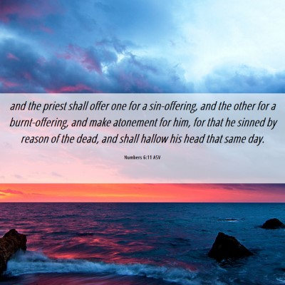 Picture 06 - Numbers 6:11 ASV - and the priest shall offer one for a - Bible Verse Picture