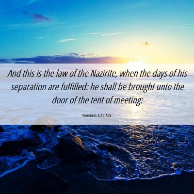 Picture 06 - Numbers 6:13 ASV - And this is the law of the Nazirite, when the - Bible Verse Picture