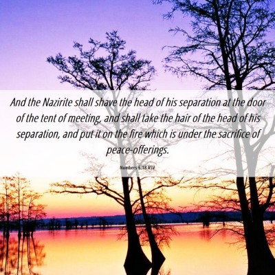 Picture 06 - Numbers 6:18 ASV - And the Nazirite shall shave the head of his - Bible Verse Picture