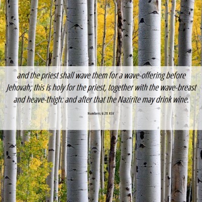 Picture 06 - Numbers 6:20 ASV - and the priest shall wave them for a - Bible Verse Picture