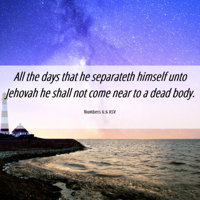 Picture 06 - Numbers 6:6 ASV - All the days that he separateth himself unto - Bible Verse Picture