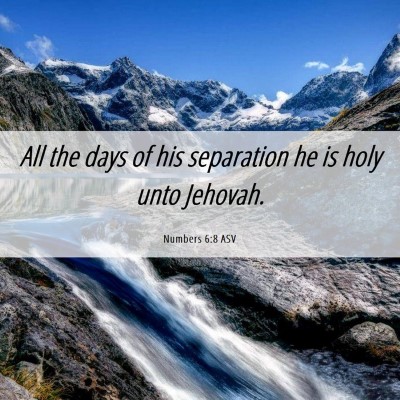 Picture 06 - Numbers 6:8 ASV - All the days of his separation he is holy unto - Bible Verse Picture