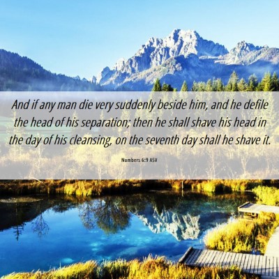 Picture 06 - Numbers 6:9 ASV - And if any man die very suddenly beside him, and - Bible Verse Picture