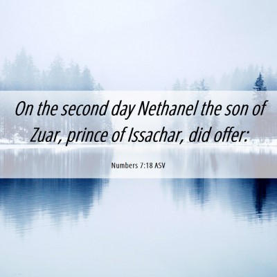 Picture 06 - Numbers 7:18 ASV - On the second day Nethanel the son of Zuar, - Bible Verse Picture