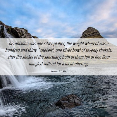 Picture 06 - Numbers 7:25 ASV - his oblation was one silver platter, the weight - Bible Verse Picture