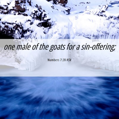Picture 06 - Numbers 7:28 ASV - one male of the goats for a - Bible Verse Picture