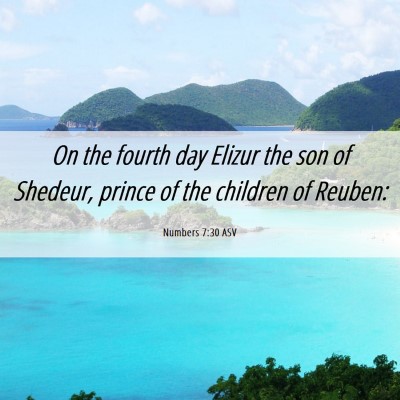 Picture 06 - Numbers 7:30 ASV - On the fourth day Elizur the son of Shedeur, - Bible Verse Picture