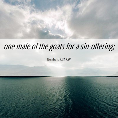 Picture 06 - Numbers 7:34 ASV - one male of the goats for a - Bible Verse Picture