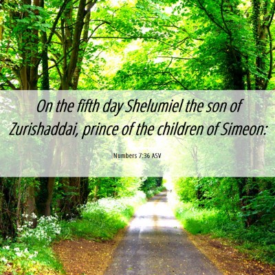 Picture 06 - Numbers 7:36 ASV - On the fifth day Shelumiel the son of - Bible Verse Picture